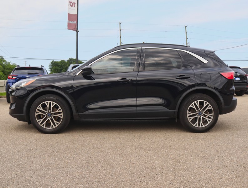 2020 Ford Escape SEL AWD