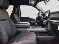 2026 Ford F-150 XLT | 4X4 | 3.5L | 302A | BLK PK PLS | BED UTL