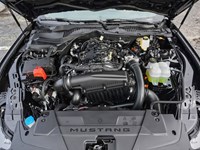 2026 Ford Mustang EcoBoost | 2.3L | 100A | AUTO | BRONZE PKG