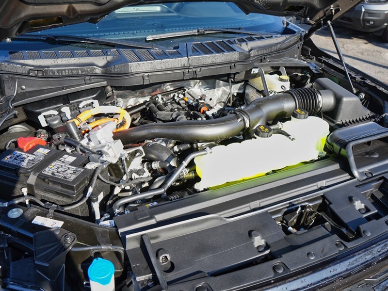2026 Ford F-150 XLT | 4X4 | HYBRID | 302A | BLK PK | FX4 | BED UTL