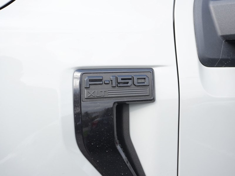 2026 Ford F-150 XLT | 4X4 | 3.5L | 303A |BLK PK PLS| ROOF| BED UTL