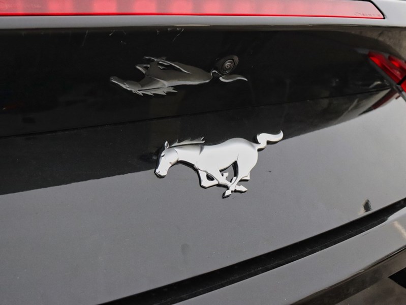 2026 Ford Mustang EcoBoost Premium Convertible | 2.3L | 201A | 19s