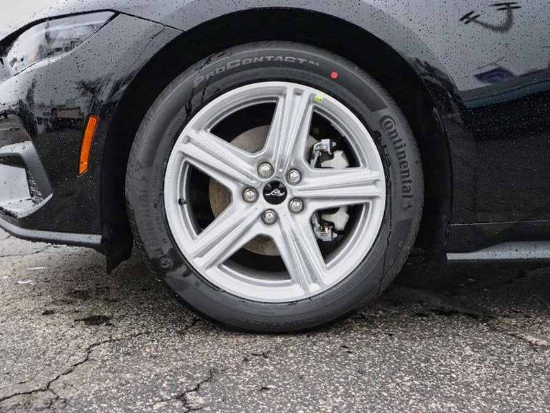 2026 Ford Mustang EcoBoost | 2.3L | 100A | 10-SPD AUTO
