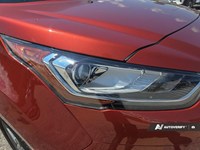 2022 Ford Transit Connect Wagon Titanium w/Dual Sliding Doors