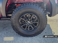 2026 Ford F-150 Raptor 4WD SuperCrew 5.5' Box