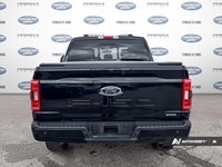 2022 Ford F-150 XL 4WD SuperCrew 5.5' Box