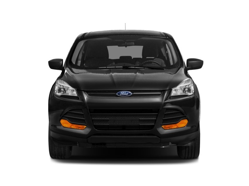 2013 Ford Escape 4WD 4dr SE Exterior Shot 6