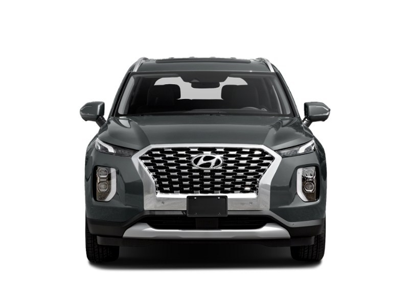 2021 Hyundai Palisade Luxury 7-Passenger AWD Exterior Shot 5