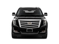 2018 Cadillac Escalade 4WD 4dr Premium Luxury Exterior Shot 6