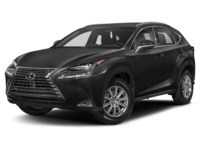2021 Lexus NX 300 NX 300 AWD Exterior Shot 1
