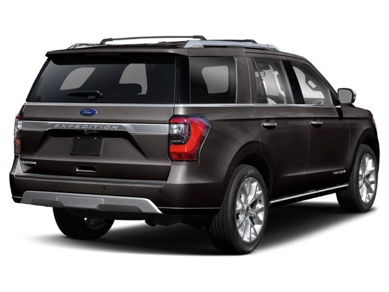 2020 Ford Expedition Platinum 4x4 Exterior Shot 2