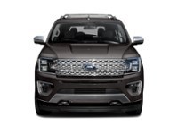 2020 Ford Expedition Platinum 4x4 Exterior Shot 5