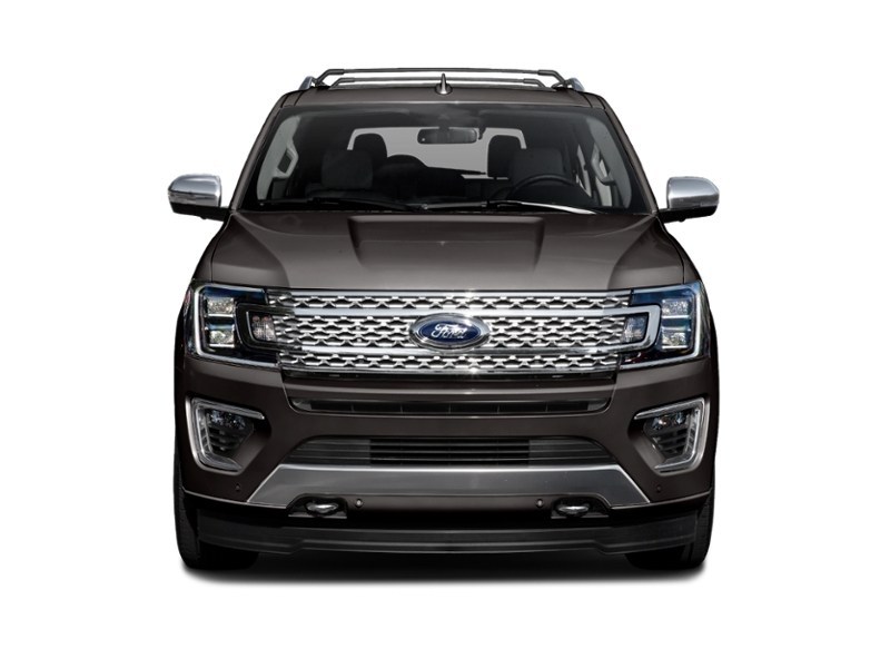2020 Ford Expedition Platinum 4x4 Exterior Shot 5