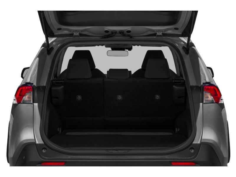 2020 Toyota RAV4 LE AWD Exterior Shot 4