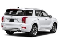 2022 Hyundai Palisade Ultimate Calligraphy 7-Passenger AWD Exterior Shot 2