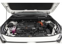 2024 Toyota RAV4 Hybrid Hybrid LE AWD Exterior Shot 3