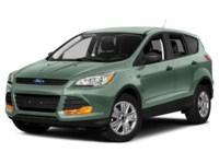 2013 Ford Escape 4WD 4dr SE Frosted Glass Metallic  Shot 28