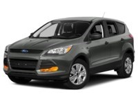 2013 Ford Escape 4WD 4dr SE Sterling Grey Metallic  Shot 46