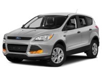 2013 Ford Escape 4WD 4dr SE Ingot Silver Metallic  Shot 52