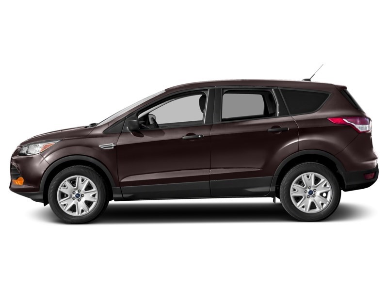 2013 Ford Escape 4WD 4dr SE Kodiak Brown  Shot 11