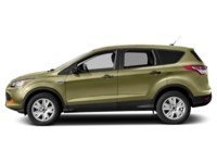 2013 Ford Escape 4WD 4dr SE Ginger Ale Metallic  Shot 21