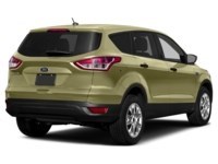 2013 Ford Escape 4WD 4dr SE Ginger Ale Metallic  Shot 24
