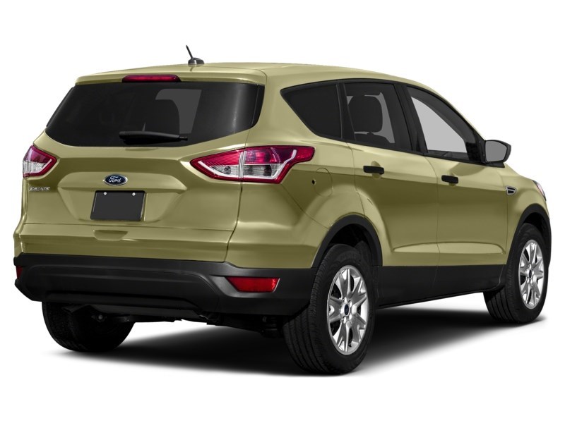 2013 Ford Escape 4WD 4dr SE Ginger Ale Metallic  Shot 20