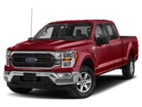 2022 Ford F-150 XLT 4WD SuperCrew 5.5' Box Rapid Red Metallic Tinted Clearcoat  Shot 26