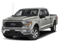 2023 Ford F-150 XLT 4WD SuperCrew 5.5' Box Iconic Silver Metallic  Shot 38