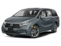 2023 Honda Odyssey Touring Auto Colour Shot 1