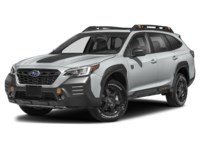 2022 Subaru Outback Wilderness CVT Ice Silver Metallic  Shot 7