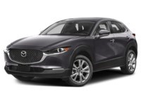 2024 Mazda CX-30 GS Machine Grey Metallic  Shot 25