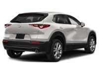 2023 Mazda CX-30 GS AWD Platinum Quartz Metallic  Shot 22