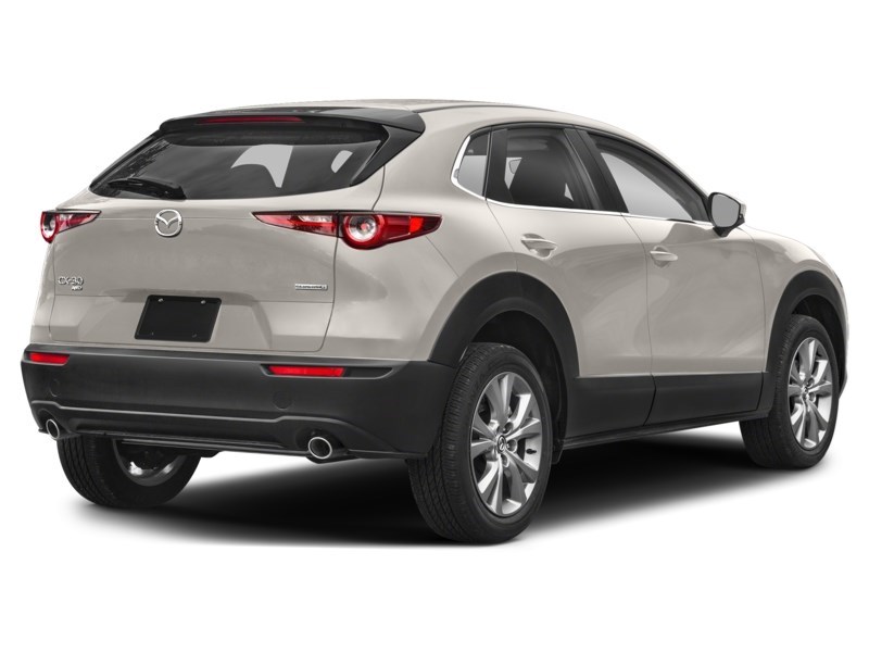 2024 Mazda CX-30 GS Platinum Quartz Metallic  Shot 32