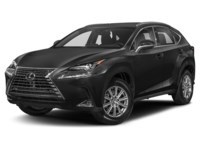 2021 Lexus NX 300 NX 300 AWD Caviar  Shot 4