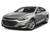 2019 Chevrolet Malibu 4dr Sdn LT w/1LT Silver Ice Metallic  Shot 4