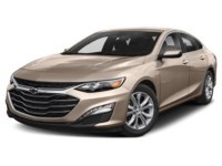 2019 Chevrolet Malibu 4dr Sdn LT w/1LT Sandy Ridge Metallic  Shot 22