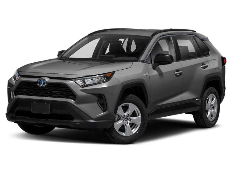 2019 Toyota RAV4 Hybrid AWD Hybrid LE Magnetic Grey Metallic  Shot 4
