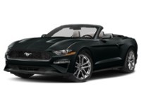 2022 Ford Mustang EcoBoost Convertible Shadow Black  Shot 31