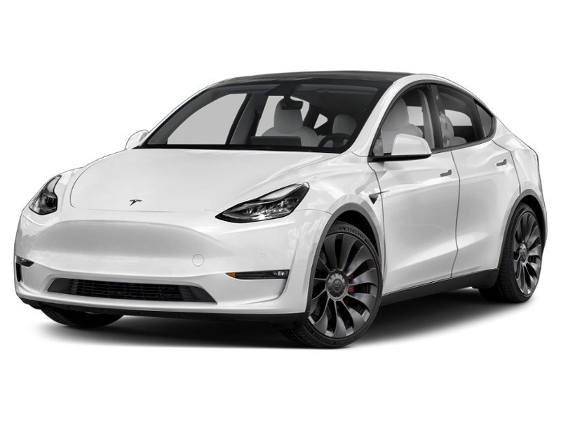 2023 Tesla Model Y Long Range AWD Pearl White Multi-Coat  Shot 4