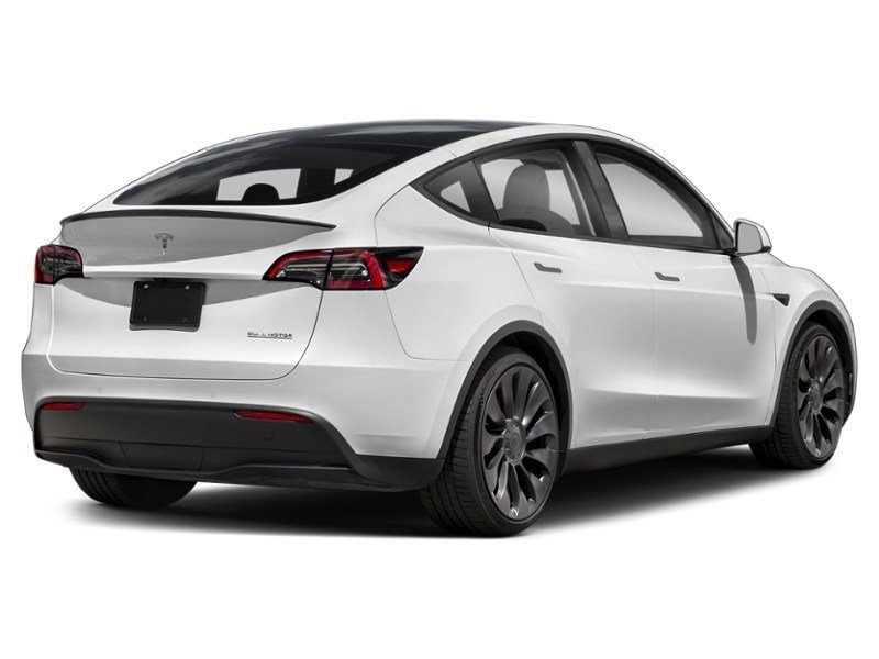 2023 Tesla Model Y Long Range AWD Pearl White Multi-Coat  Shot 6