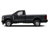 2026 Ford F-250 XL 4WD Reg Cab 8' Box Agate Black Metallic  Shot 55