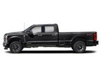 2024 Ford Super Duty F-350 DRW Platinum 4WD Crew Cab 8' Box Agate Black Metallic  Shot 37