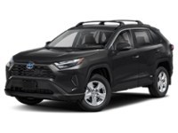 2023 Toyota RAV4 Hybrid Hybrid XLE AWD Colour Shot 1