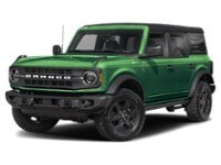 2024 Ford Bronco Black Diamond 4 Door 4x4 Eruption Green Metallic  Shot 14