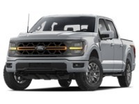 2025 Ford F-150 Tremor 4WD SuperCrew 5.5' Box Iconic Silver Metallic  Shot 3