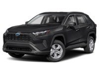 2024 Toyota RAV4 Hybrid Hybrid LE AWD Midnight Black Metallic  Shot 1