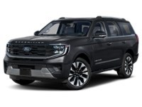 2025 Ford Expedition Platinum 4x4 Agate Black Metallic  Shot 1