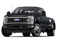2025 Ford Super Duty F-450 DRW Platinum 4WD Crew Cab 8' Box Agate Black Metallic  Shot 1