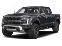 2026 Ford F-150 Raptor |4X4 | 3.5L | 801A | ROOF | SPRAY IN Agate Black Metallic  Shot 4
